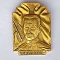 Значок. Брусилов 