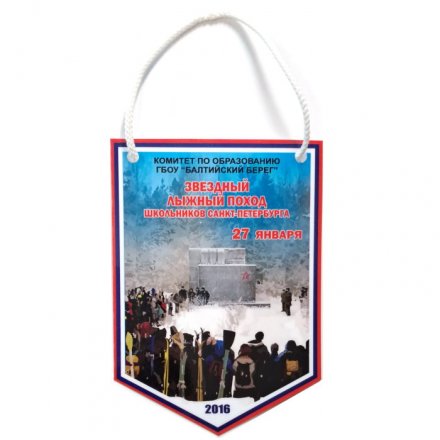 Вымпел Звездный Лыжный поход школьников Санкт-Петербурга 27 января 2016