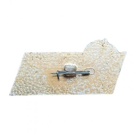 Значок Пензенская область. Орден Ленина