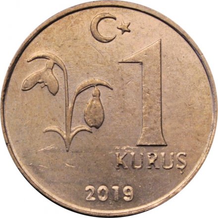 Турция 1 куруш 2019 год