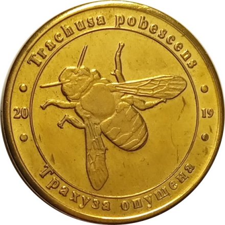Жетон Украина 1 злотник 2019 год - Красная Книга Украины. Трахуза опущенная (пчела)