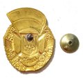 Знак Гвардия Украина