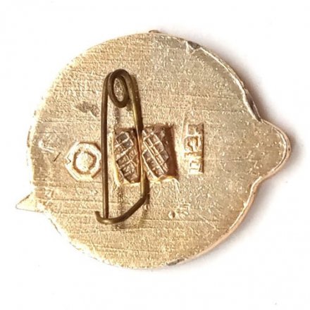 Значок СССР &quot;Первый человек в космосе 1961-1971&quot; VF