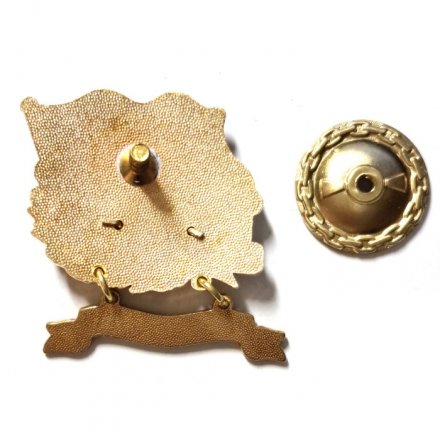 Знак За дальний поход. ОИС &quot;Кронштадт&quot;. Флаг ВМФ России