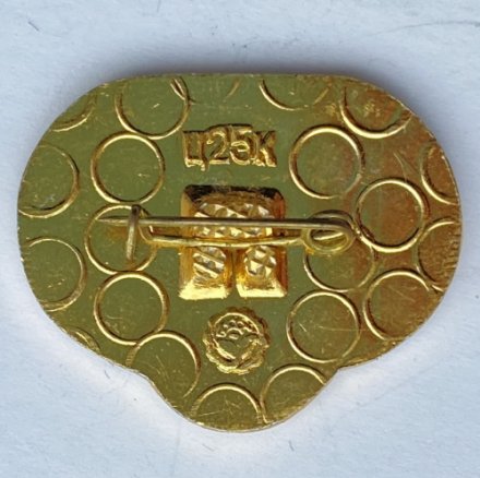 Значок. Футбол. Динамо Киев Чемпион СССР 1981