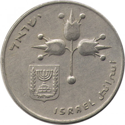Израиль 1 лира 1974 год (без звезды Давида на аверсе)