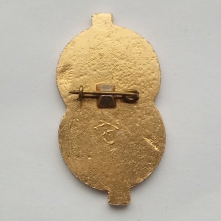 Значок Вологодская электросеть 75 лет