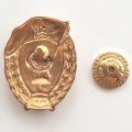 Знак Военное медицинское училище (СССР)