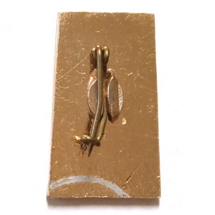 Значок Алма-Ата. Яблоки