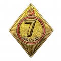Значок СССР. Школа 7 класс