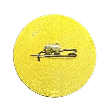 Значок СМП - 73. Технический прогресс. Северное Машиностроительное Предприятие