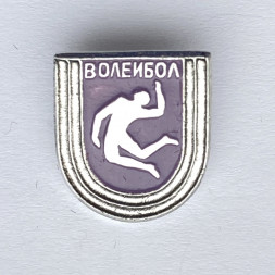 Значок. Волейбол. Виды спорта