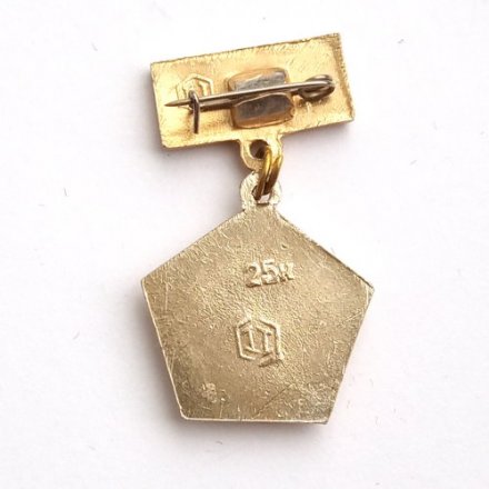 Значок Авиация СССР. Самолет (подвеска)