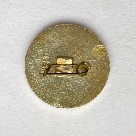 Значок. Спортлото 31 Плавание