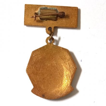 Значок &quot;Областное первенство. ДСО &quot;Динамо&quot;, 2 место