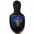 Нагрудный знак ВМА. Военно-медицинская академия имени С. М. Кирова
