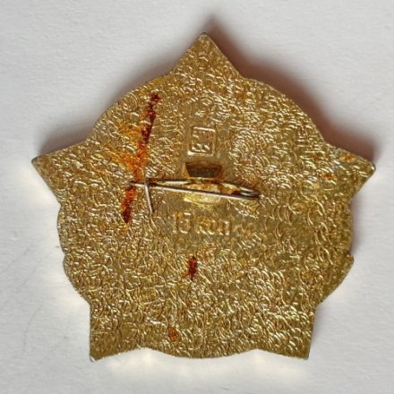 Значок. 1941-1942  Победа Советских войск под Москвой. Звезда 