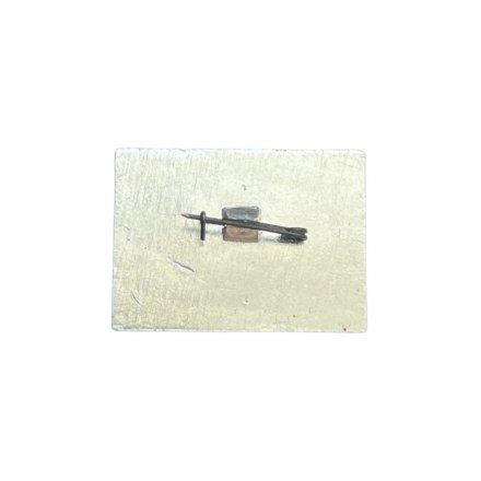 Значок Спортклуб Полёт