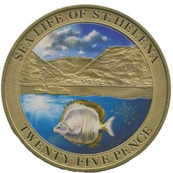 Остров Святой Елены 25 пенсов 2013 - Морская жизнь - Серебристая рыба