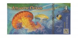Атлантический океан - 4 океан-доллара 2017 год - Медуза
